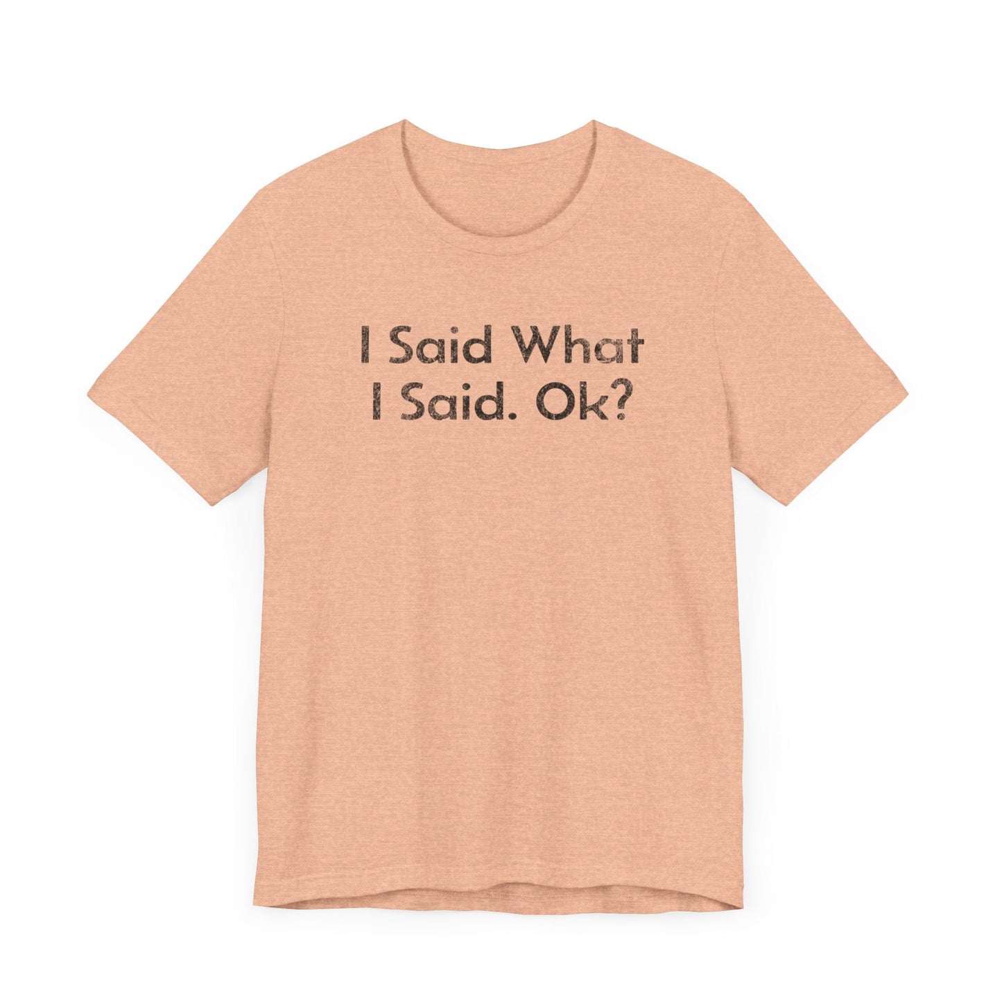 I Said what I said, Ok? - T-Shirt - WFH Shirts