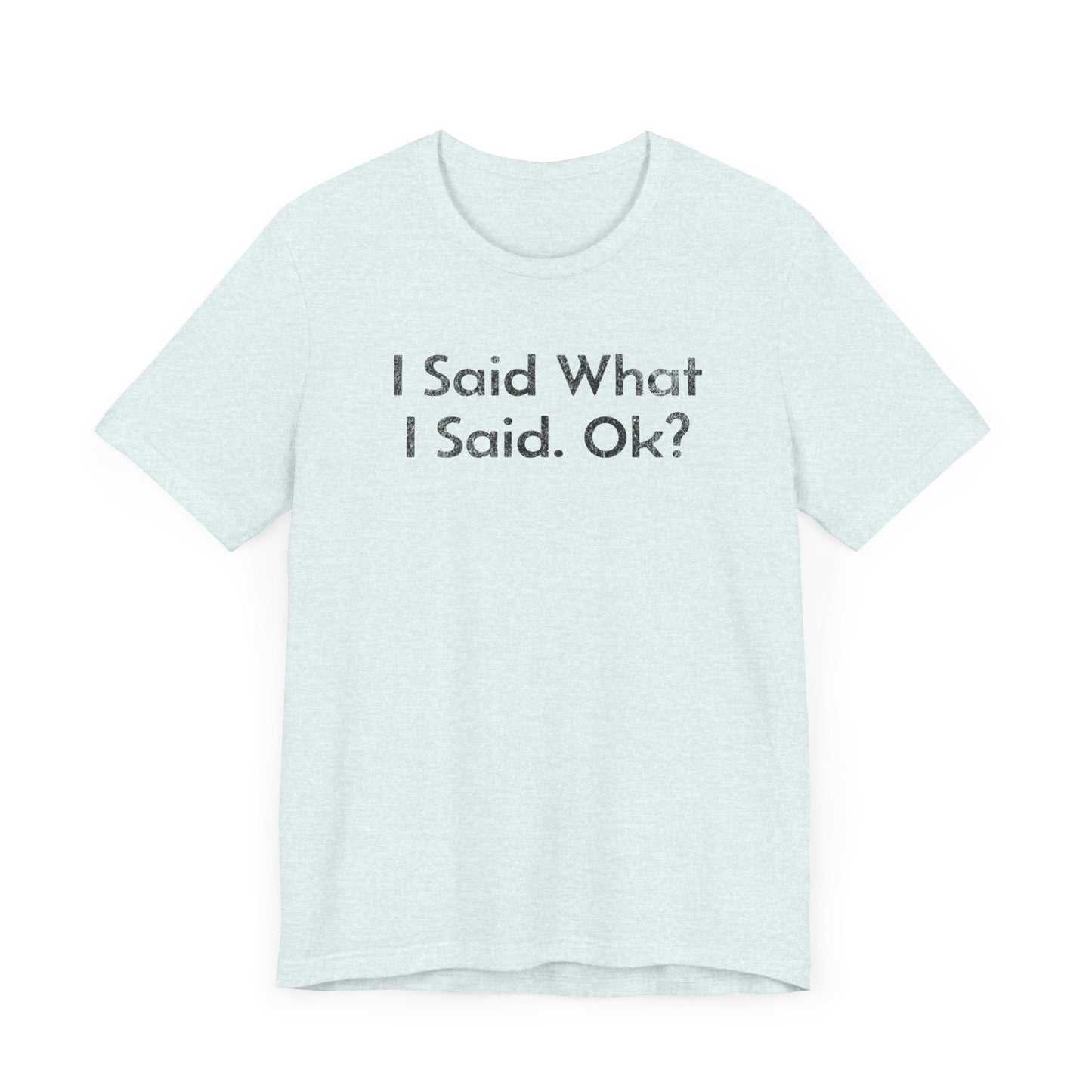 I Said what I said, Ok? - T-Shirt - WFH Shirts