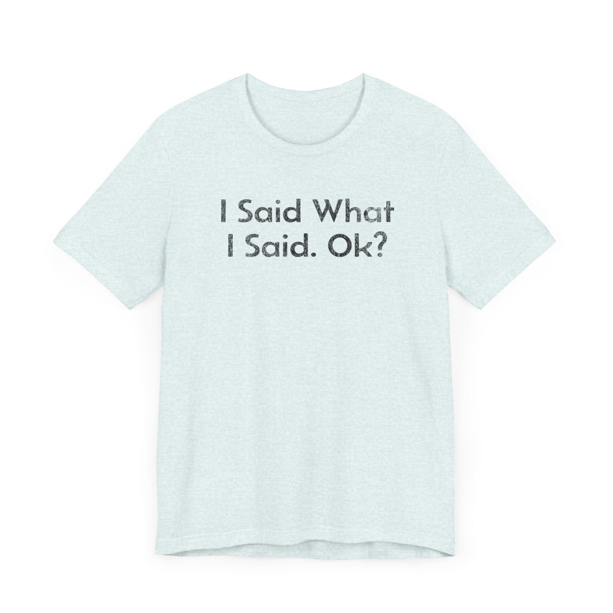 I Said what I said, Ok? - T-Shirt - WFH Shirts