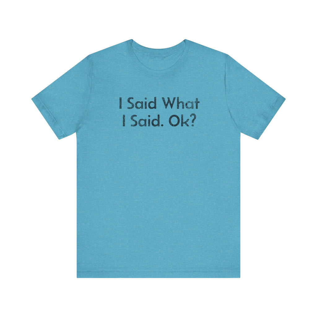 I Said what I said, Ok? - T-Shirt - WFH Shirts
