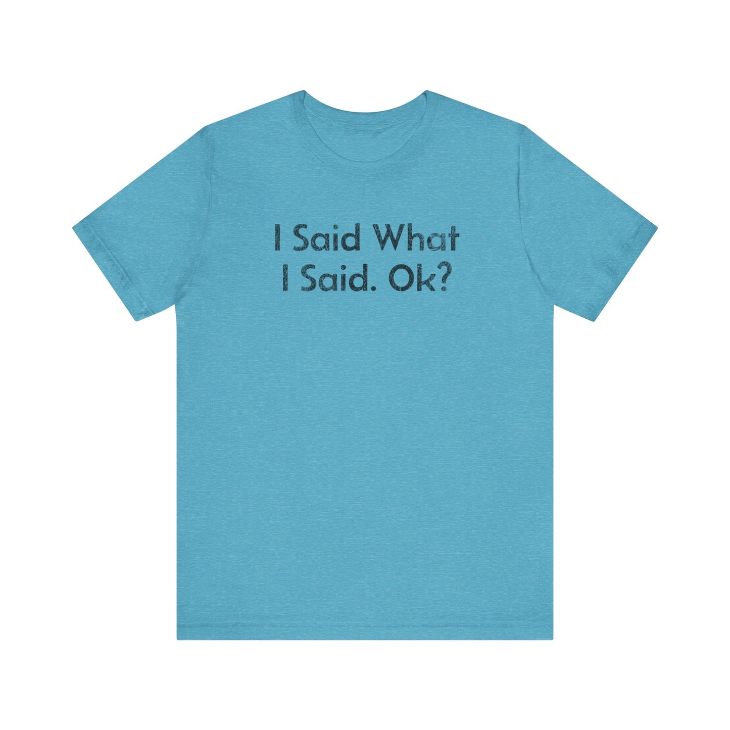 I Said what I said, Ok? - T-Shirt - WFH Shirts