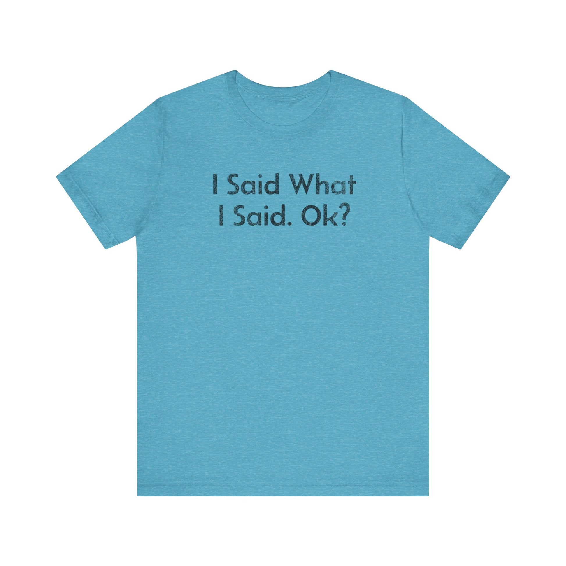 I Said what I said, Ok? - T-Shirt - WFH Shirts
