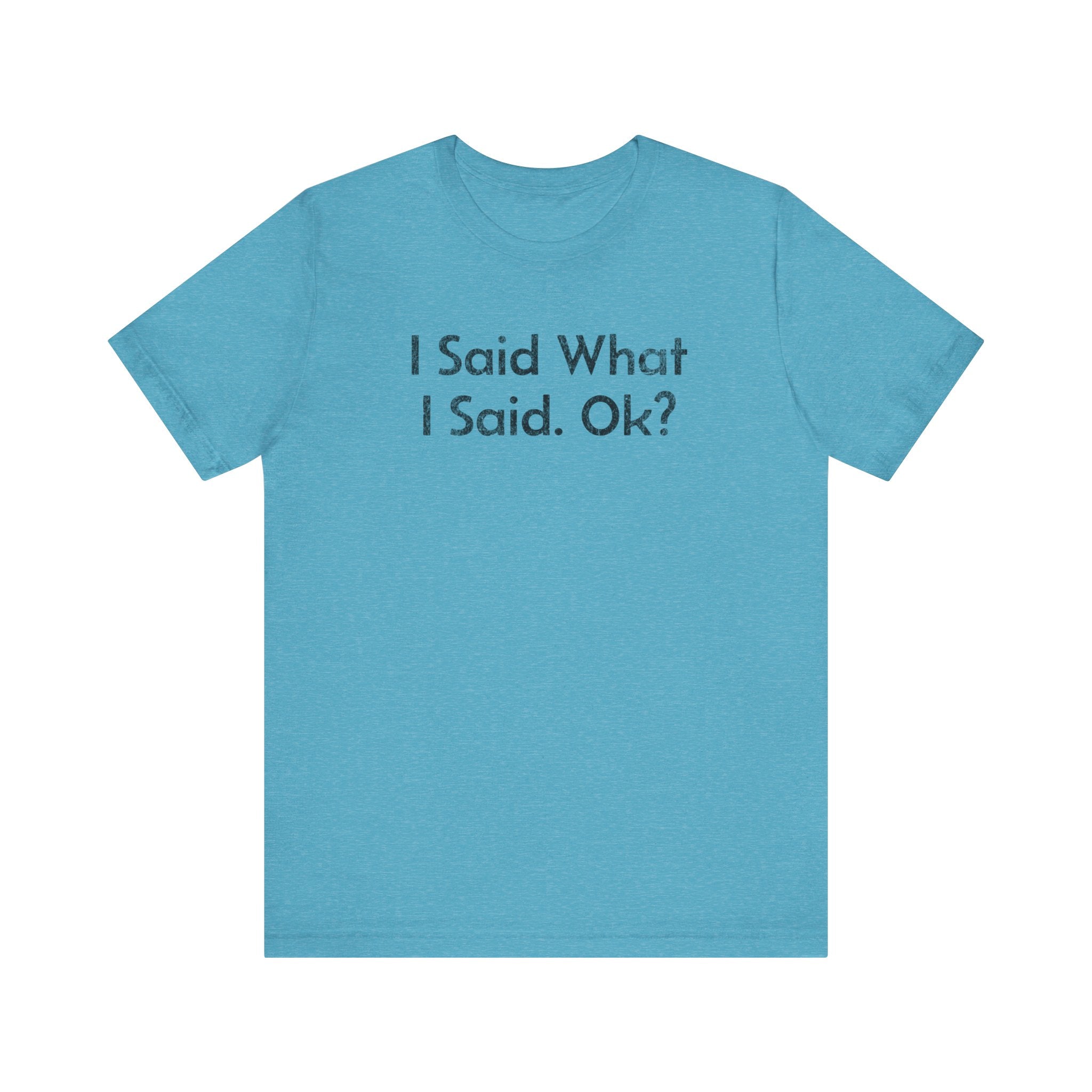 I Said what I said, Ok? - T-Shirt - WFH Shirts