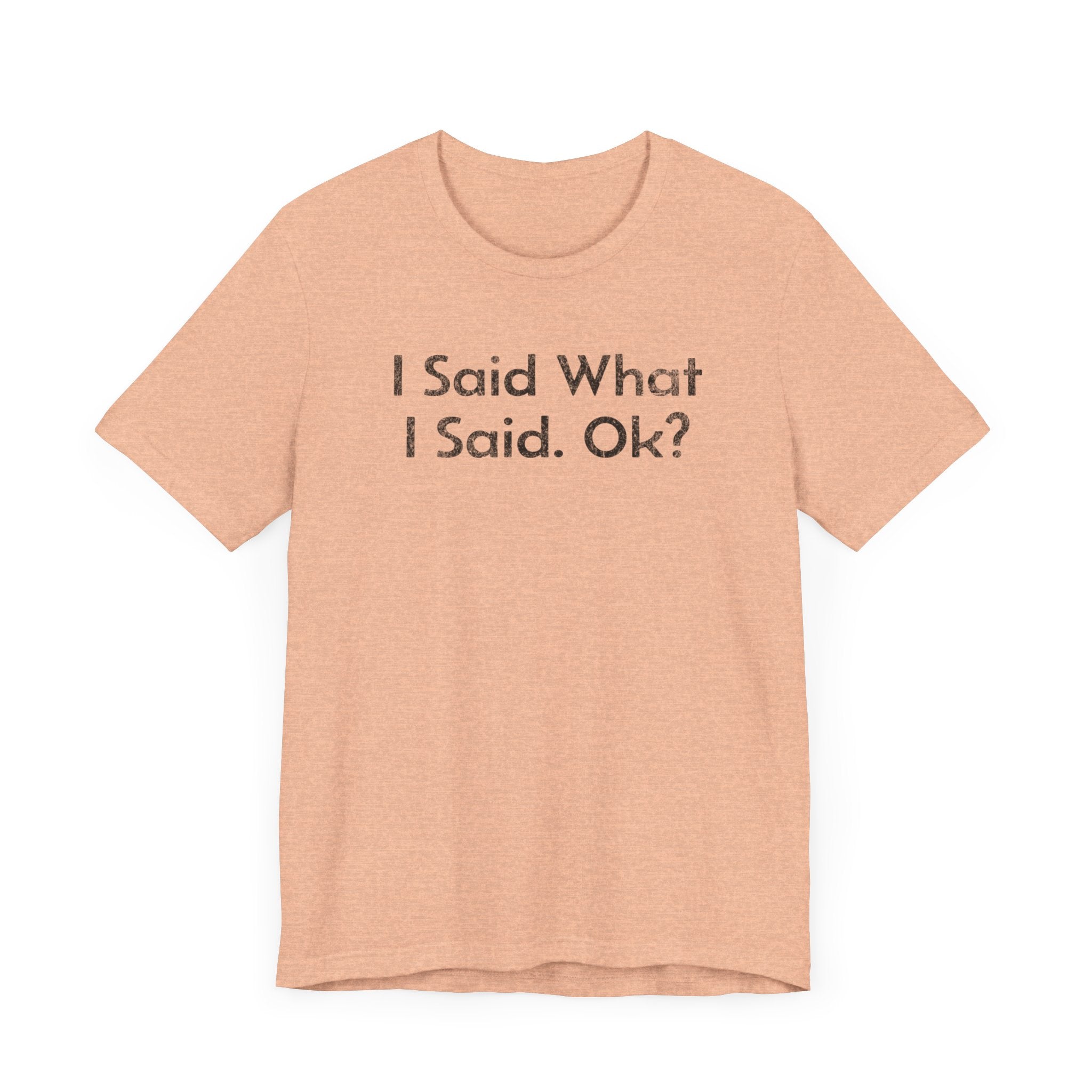 I Said what I said, Ok? - T-Shirt - WFH Shirts