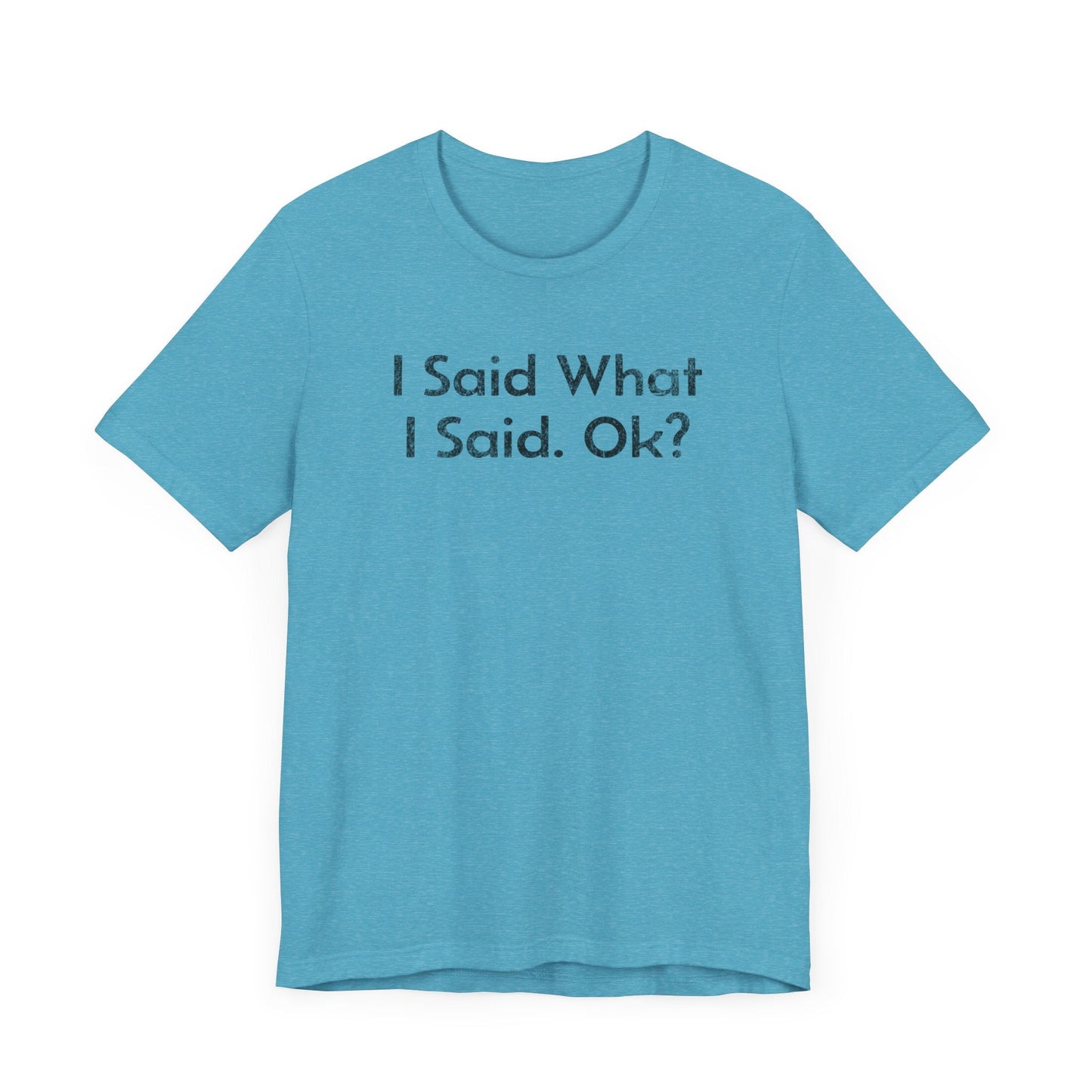 I Said what I said, Ok? - T-Shirt - WFH Shirts