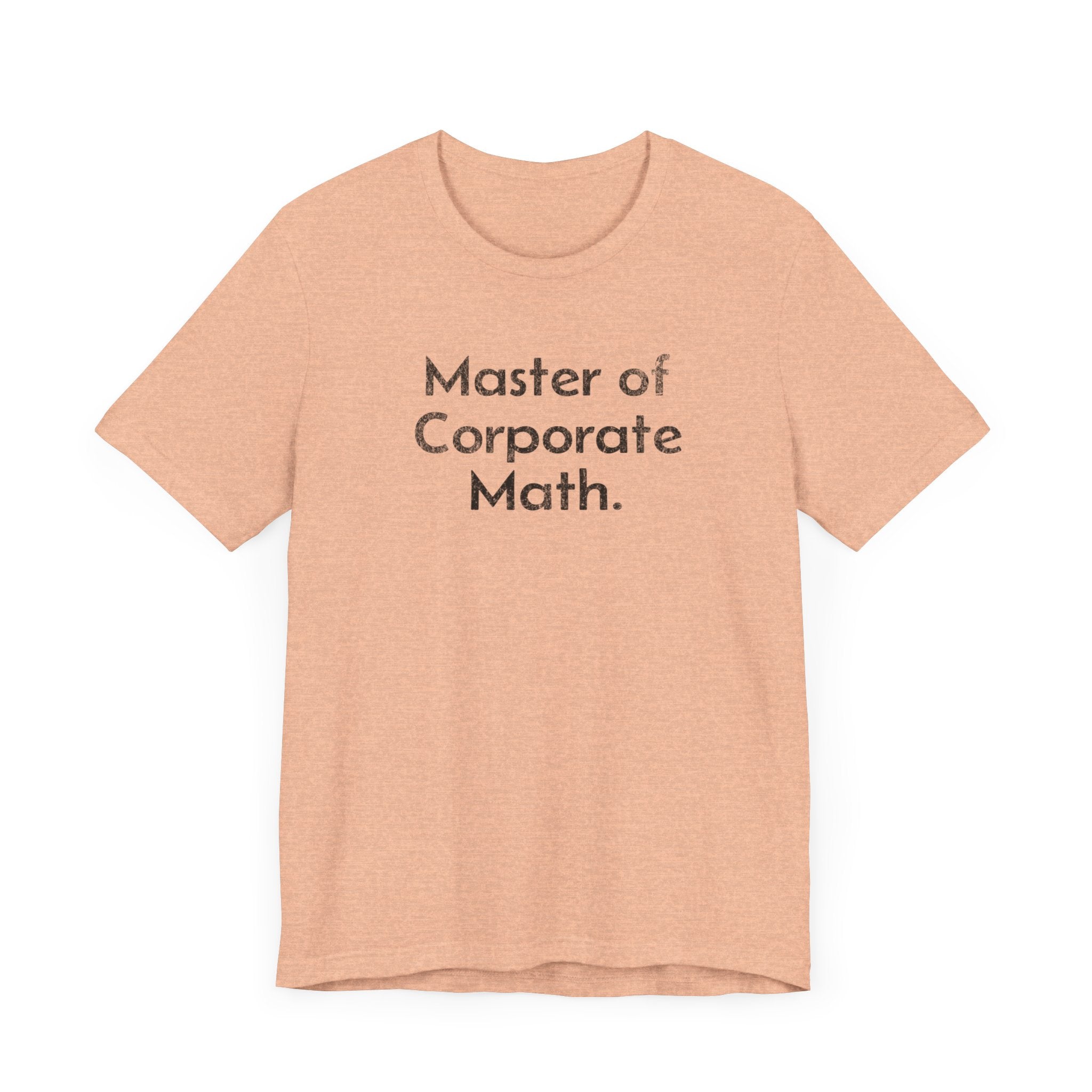 Master of Corporate Math - T-Shirt - WFH Shirts